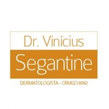 Vinicius Renon Segantine